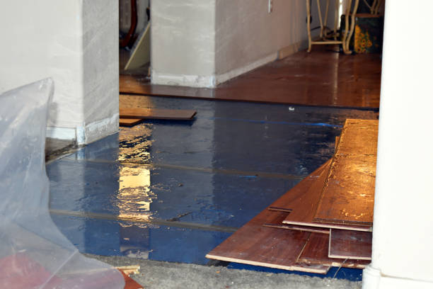 Professional Water Damage Restoration technician working in Kenton, OH